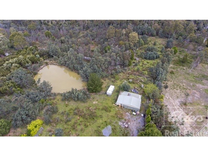 17 Atkinsons Road, Grindelwald TAS 7277