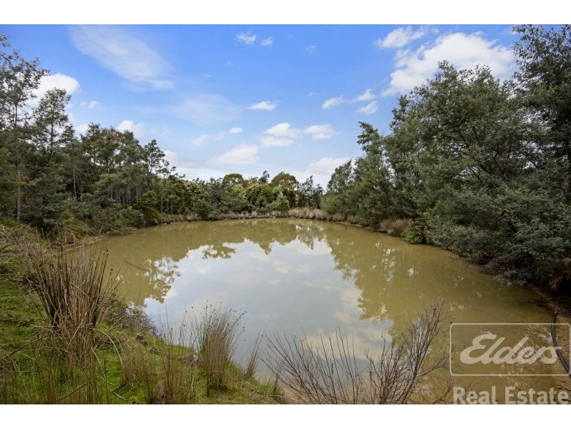 17 Atkinsons Road, Grindelwald TAS 7277