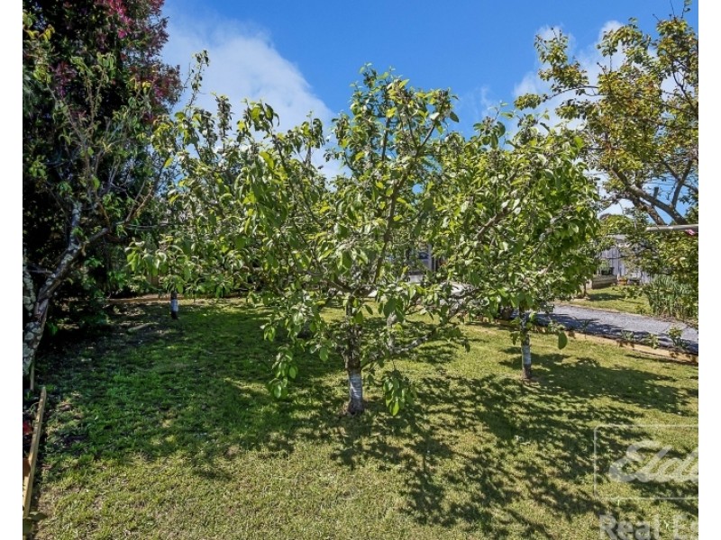 13 Ray Street, Invermay TAS 7248