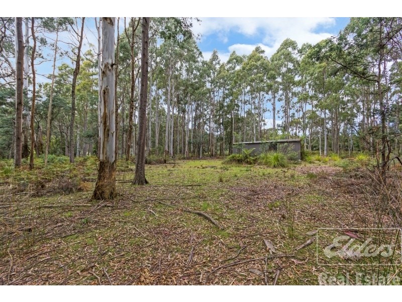 277 Karoola Road, Karoola TAS 7267