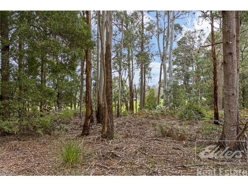 277 Karoola Road, Karoola TAS 7267