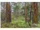 277 Karoola Road, Karoola TAS 7267