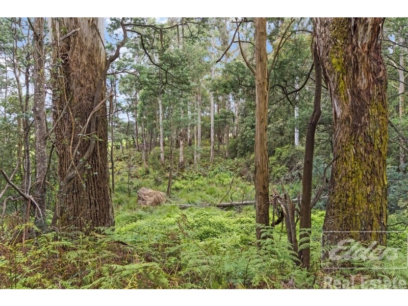 277 Karoola Road, Karoola TAS 7267