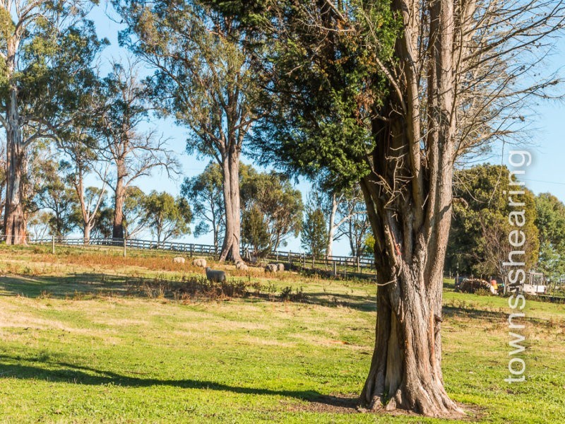 329 Hillwood Road, Hillwood TAS 7252