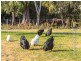 329 Hillwood Road, Hillwood TAS 7252