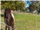 329 Hillwood Road, Hillwood TAS 7252