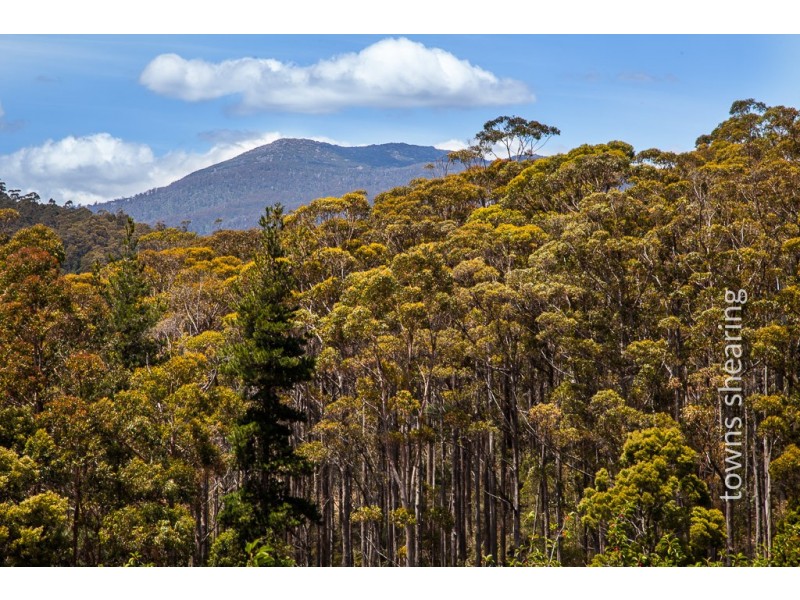 Lot 2/234 Cherry Farm Road, Underwood TAS 7268