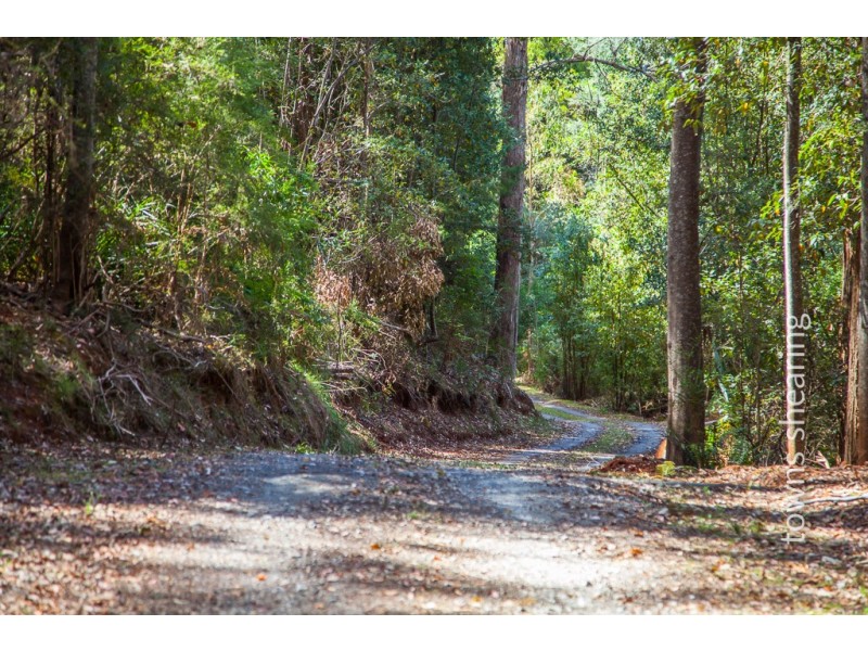 Lot 2/234 Cherry Farm Road, Underwood TAS 7268