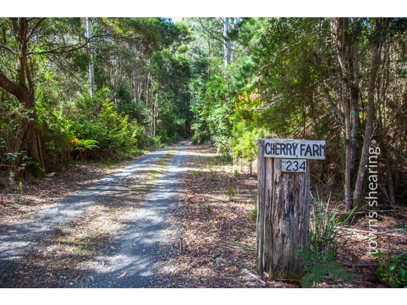 Lot 2/234 Cherry Farm Road, Underwood TAS 7268