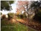 5 Seymour Street, Carrick TAS 7291