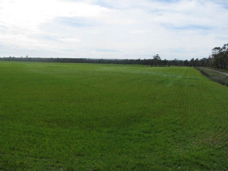 281 Jensens Road, North Scottsdale TAS 7260