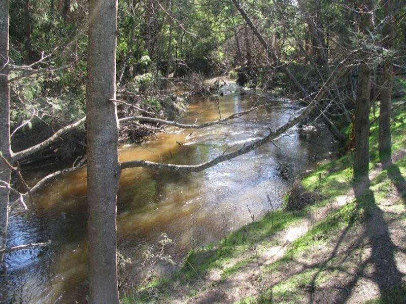 281 Jensens Road, North Scottsdale TAS 7260