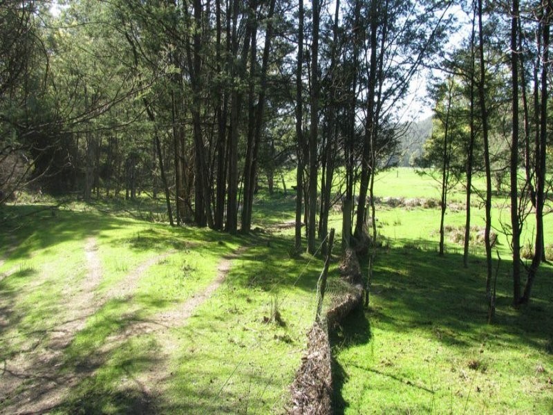 281 Jensens Road, North Scottsdale TAS 7260