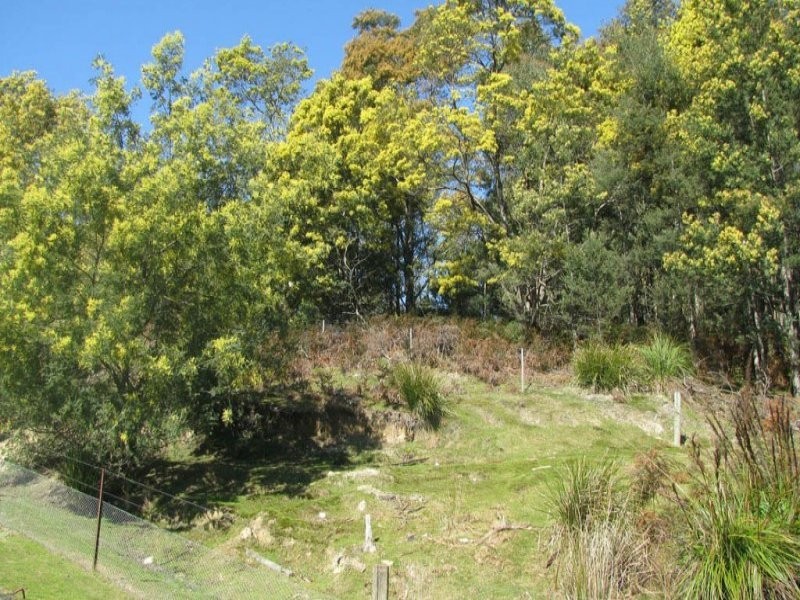 281 Jensens Road, North Scottsdale TAS 7260