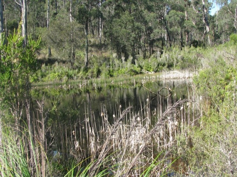 281 Jensens Road, North Scottsdale TAS 7260