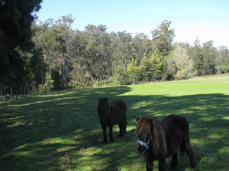 281 Jensens Road, North Scottsdale TAS 7260