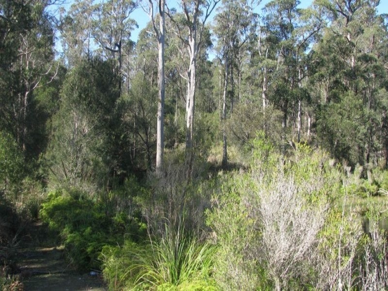 281 Jensens Road, North Scottsdale TAS 7260