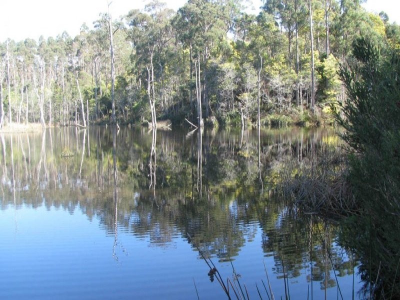 281 Jensens Road, North Scottsdale TAS 7260