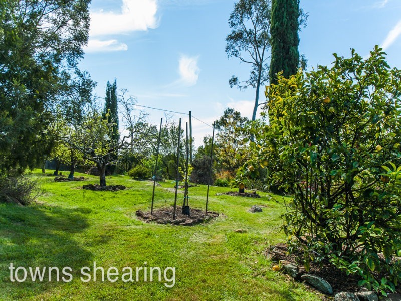 1 Cooper Crescent, Riverside TAS 7250