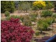 20 Alpine Crescent, Grindelwald TAS 7277