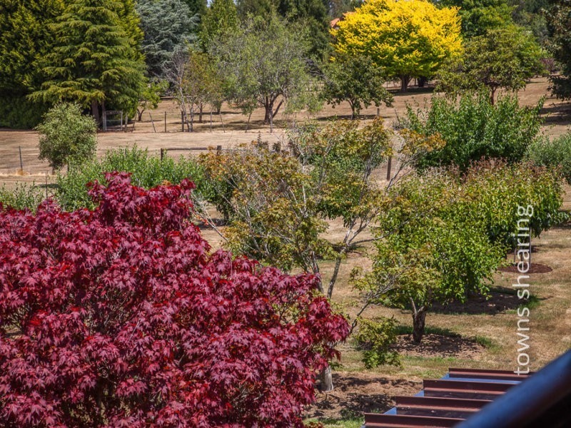 20 Alpine Crescent, Grindelwald TAS 7277