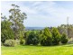51 Abels Hill Road, St Leonards TAS 7250