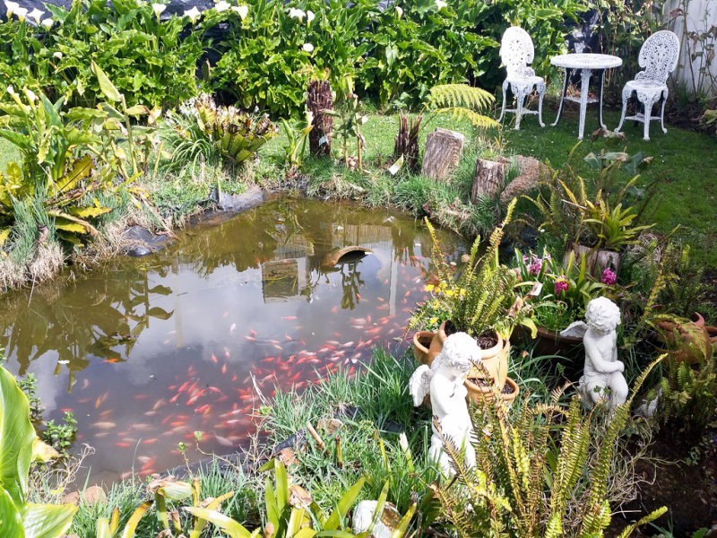 9 Hawkes Place, Scottsdale TAS 7260