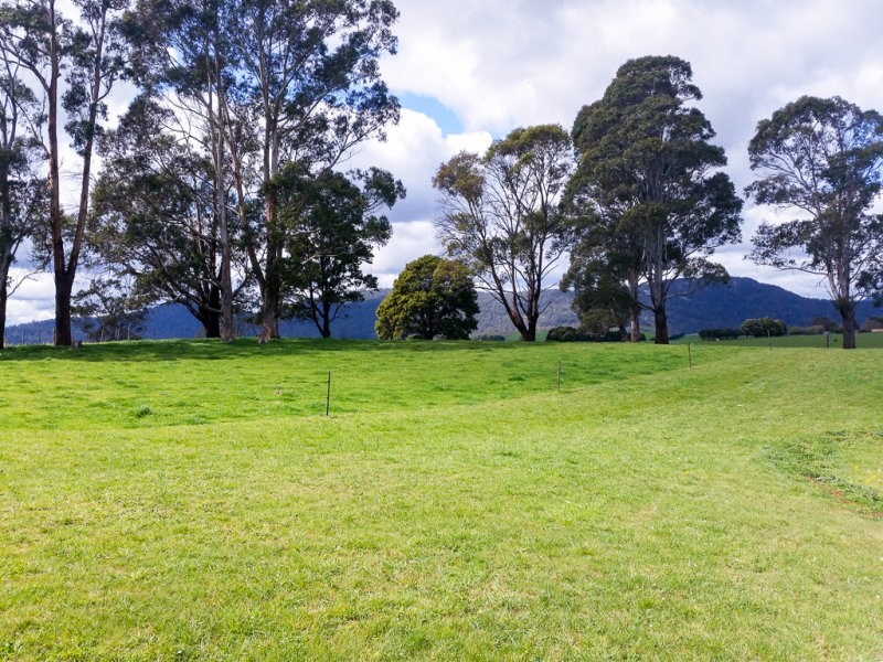 9 Hawkes Place, Scottsdale TAS 7260