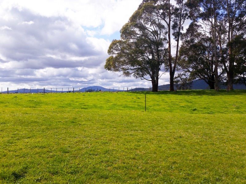 9 Hawkes Place, Scottsdale TAS 7260