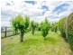 2 Sorell Street, Beaconsfield TAS 7270