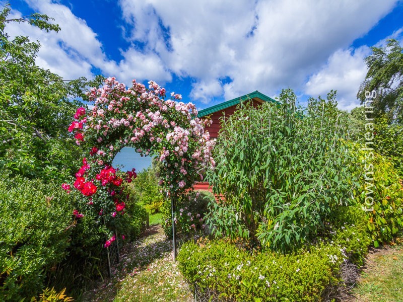 337 Windermere Road, Windermere TAS 7252
