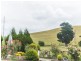 1928 Main Road, Lilydale TAS 7268