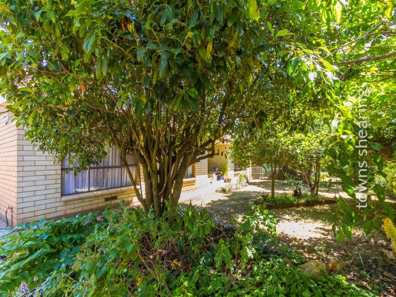 12 Franklin Street, Westbury TAS 7303