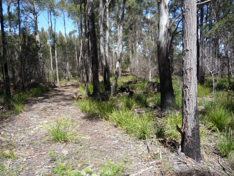 111 – 141 Prossers Rd, Nunamara TAS 7259