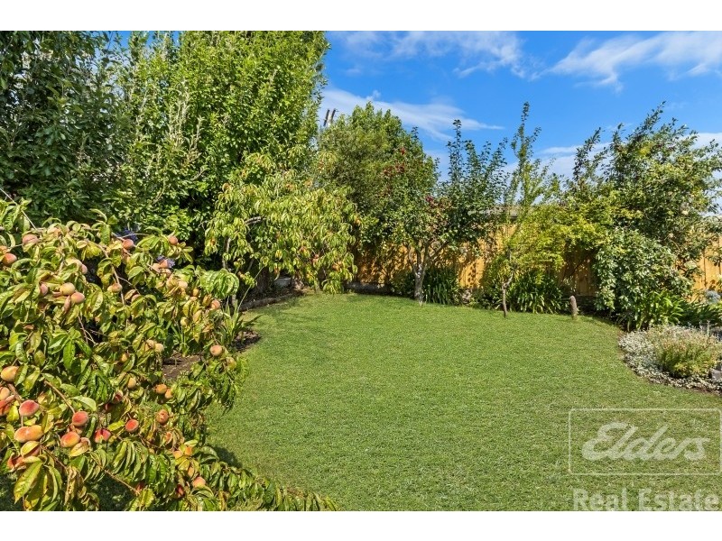 29 Riverview Road, Riverside TAS 7250