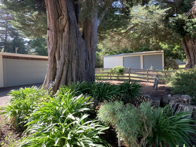 322 Windermere Road, Windermere TAS 7252