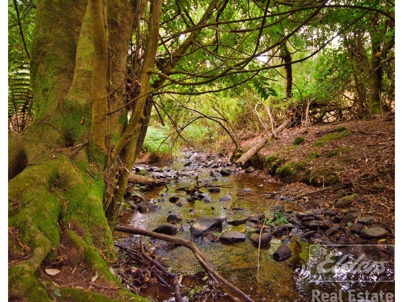 200 Browns Road, North Lilydale TAS 7268