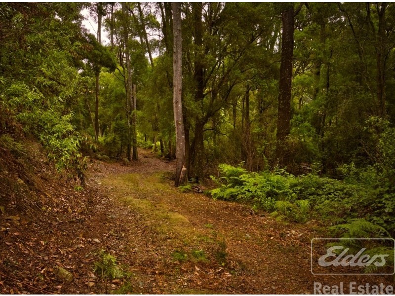 200 Browns Road, North Lilydale TAS 7268