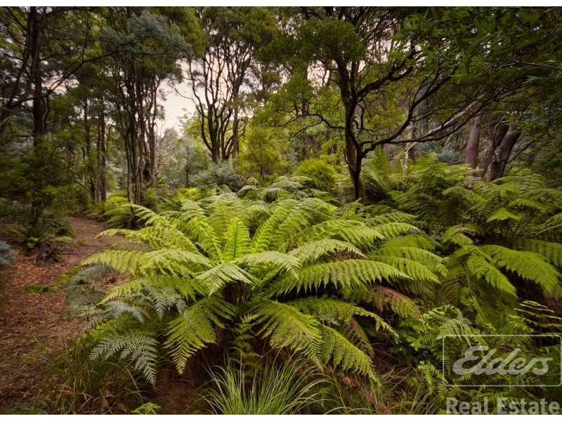 200 Browns Road, North Lilydale TAS 7268