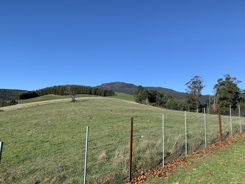 200 Browns Road, North Lilydale TAS 7268