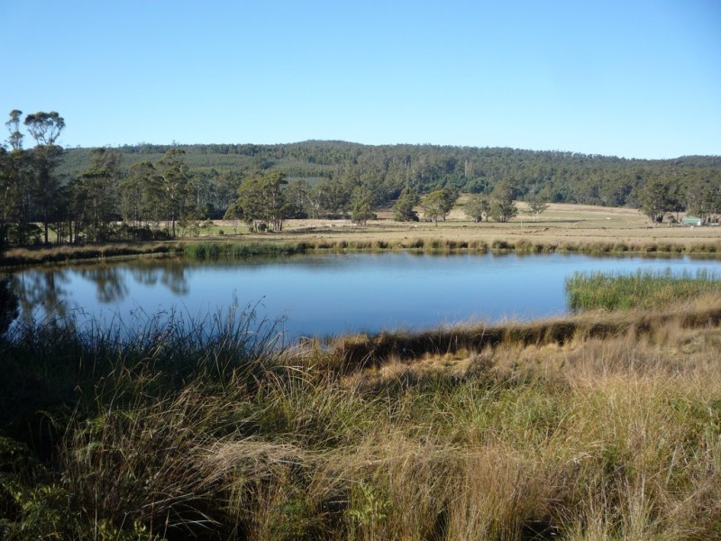 493 Priestleys Lane, Birralee TAS 7303