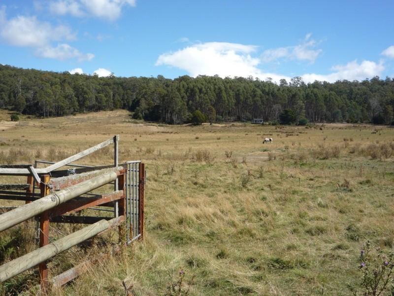 493 Priestleys Lane, Birralee TAS 7303