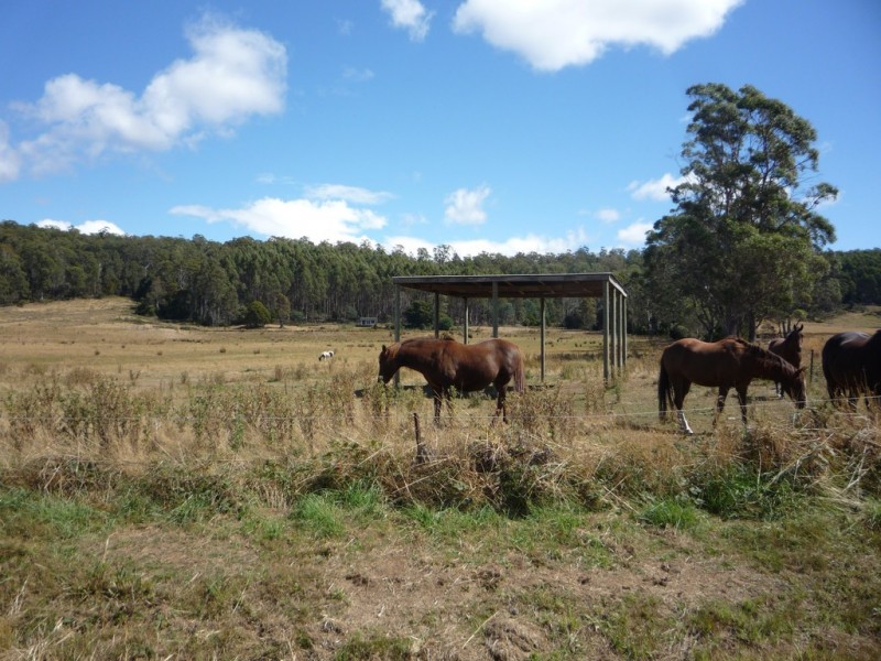 493 Priestleys Lane, Birralee TAS 7303
