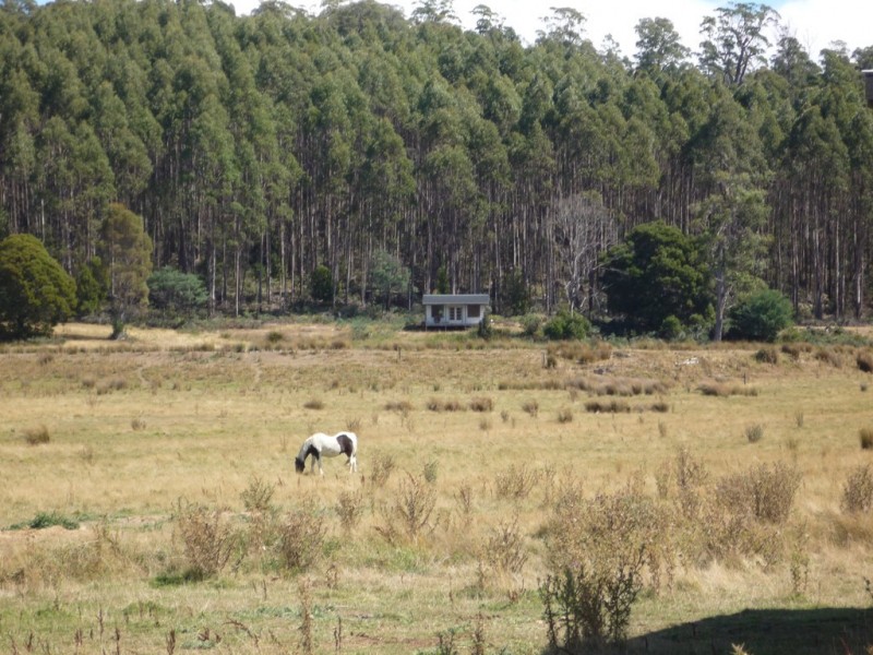 493 Priestleys Lane, Birralee TAS 7303