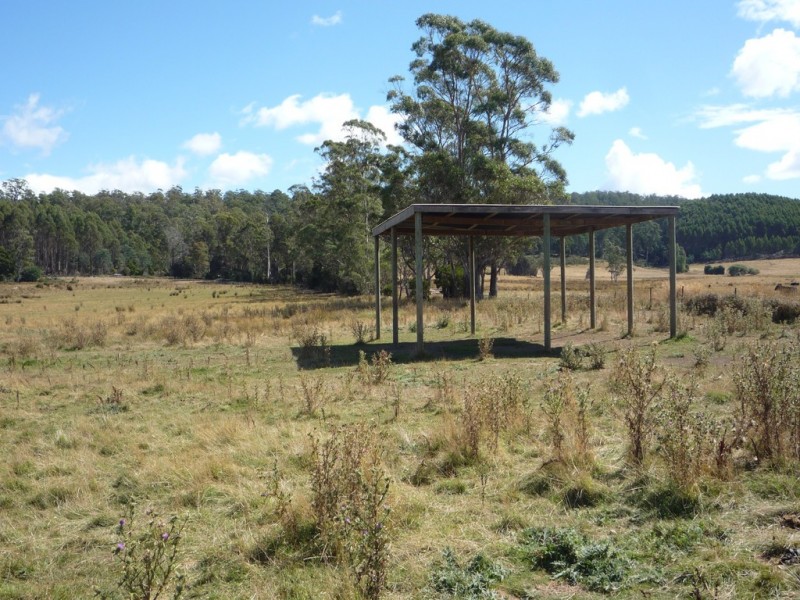 493 Priestleys Lane, Birralee TAS 7303