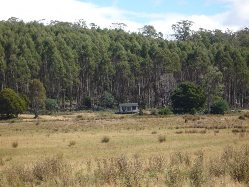 493 Priestleys Lane, Birralee TAS 7303