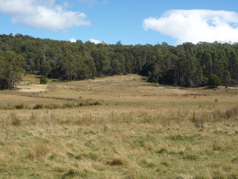 493 Priestleys Lane, Birralee TAS 7303