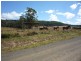 493 Priestleys Lane, Birralee TAS 7303