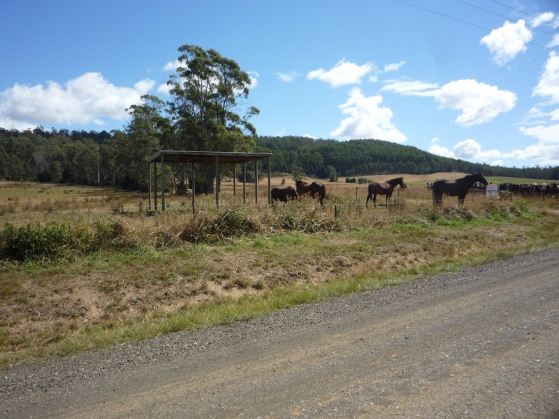 493 Priestleys Lane, Birralee TAS 7303