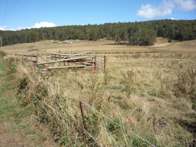493 Priestleys Lane, Birralee TAS 7303